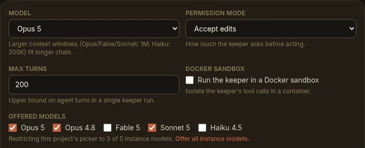 A project's Settings tab restricting the offered models to three of the five the instance allows