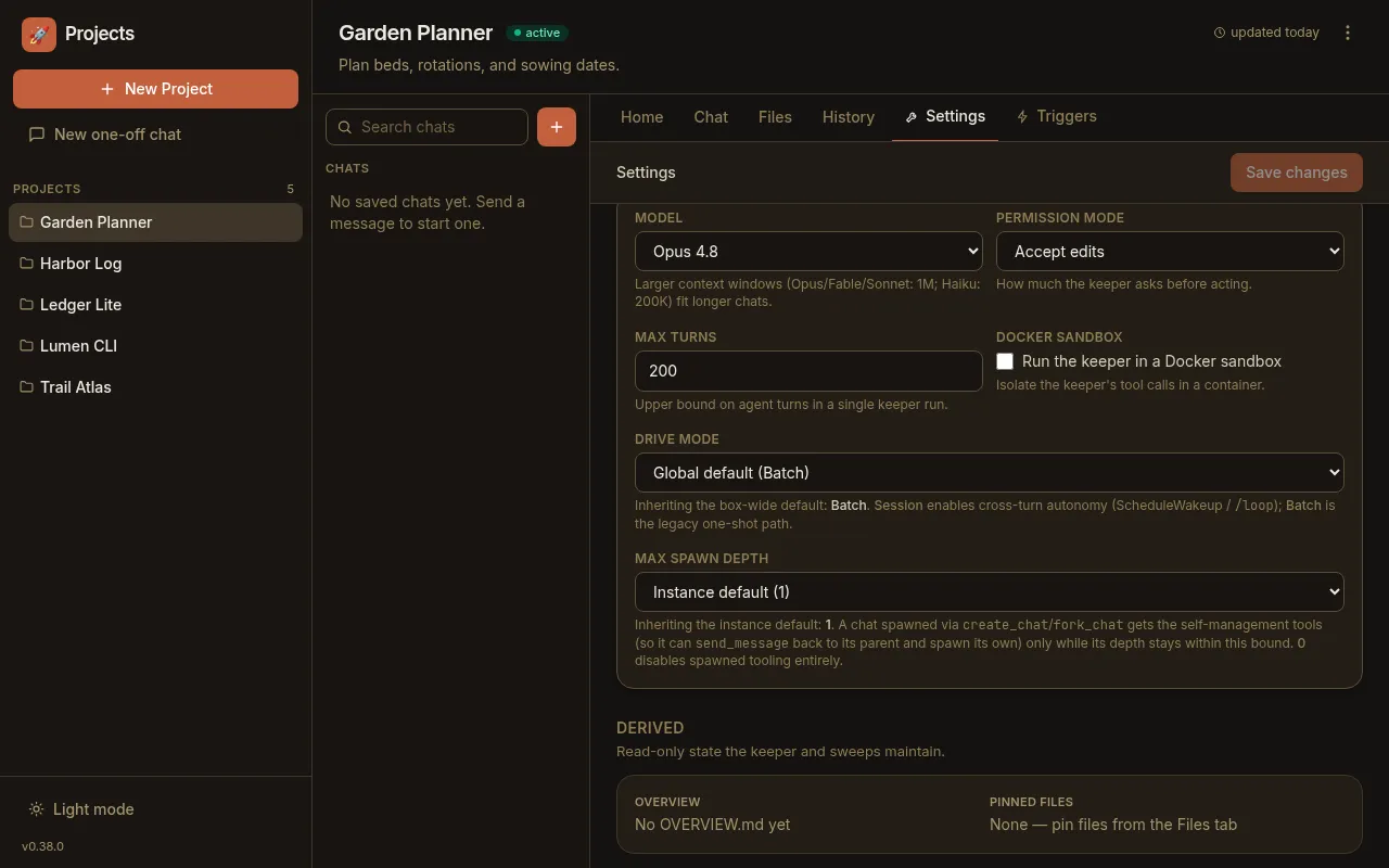 A project's Settings tab, where agent behaviour set instance-wide in the config file can be overridden for this one project